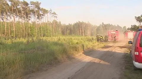 Pożar lasu pod Kościanem. Sytuacja była trudna i dynamiczna