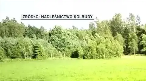 Nadleśnictwo Kolbudy