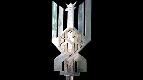 Grot ma monogram EŚR i literę M na dole. To inicjały marszałka Edwarda Śmigłego-Rydza