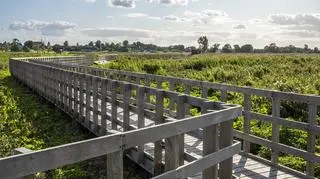 Część należąca do parku została wyremontowana w 2018 roku