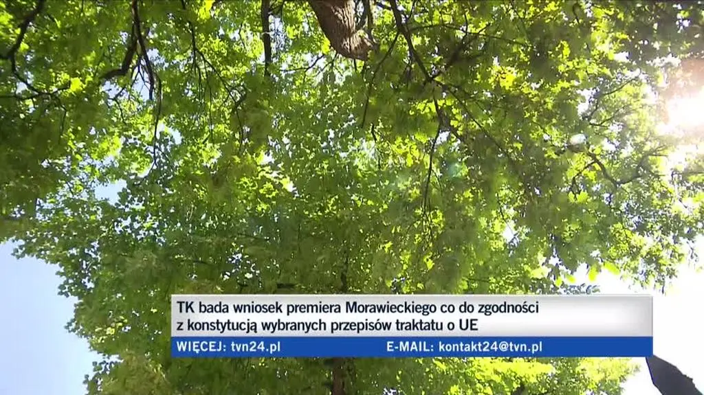 bogdanowicz