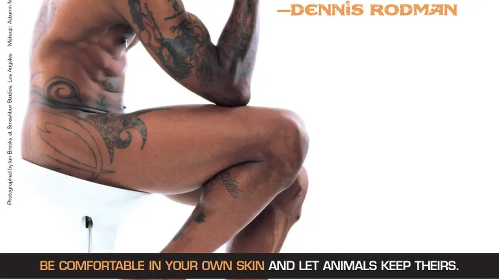 Dennis Rodmann