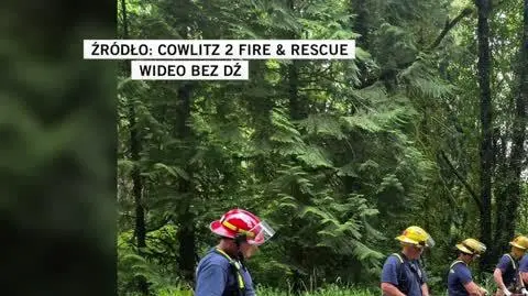 Cowlitz 2 Fire