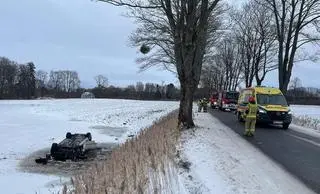 Kierowca uderzył w drzewo i dachował
