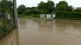 Strzelce (gmina Marcinowice)