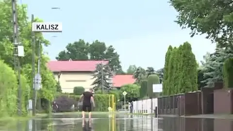 c442d424-dfc8-4719-8442-b8d360dd6838-480p