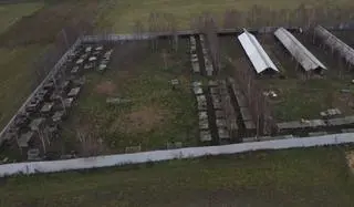 Stowarzyszenie Otwarte Klatki zarejestrowało skandaliczne warunki na fermie norek pod Lesznem