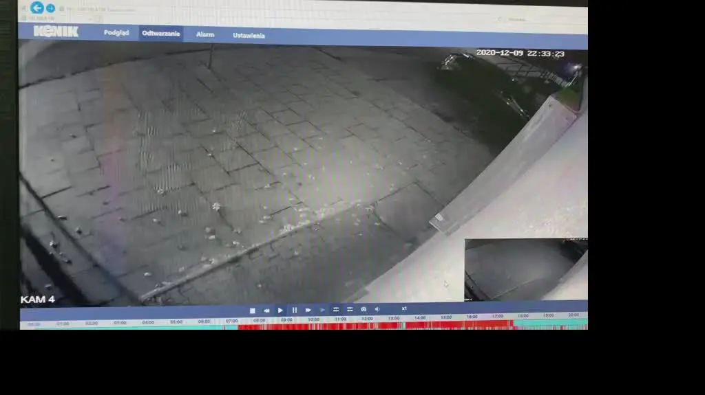 10000000_1105512019899624_2421270760882479615_n