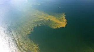 Kąpiel w takiej wodzie może być niebezpieczna