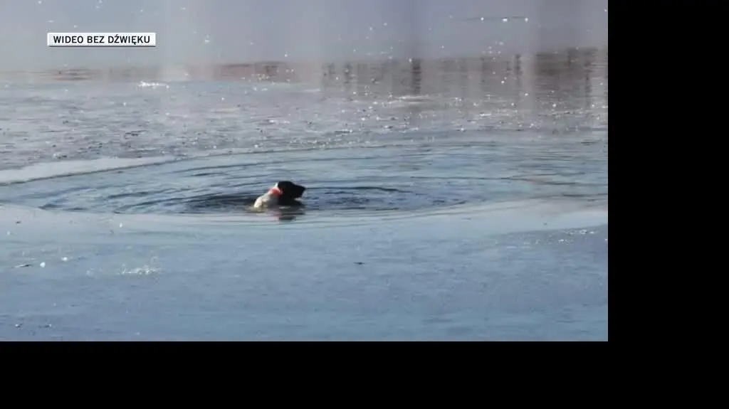 slideshow morsy 