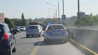 Policjanci zaopiekowali się potrąconym lisem