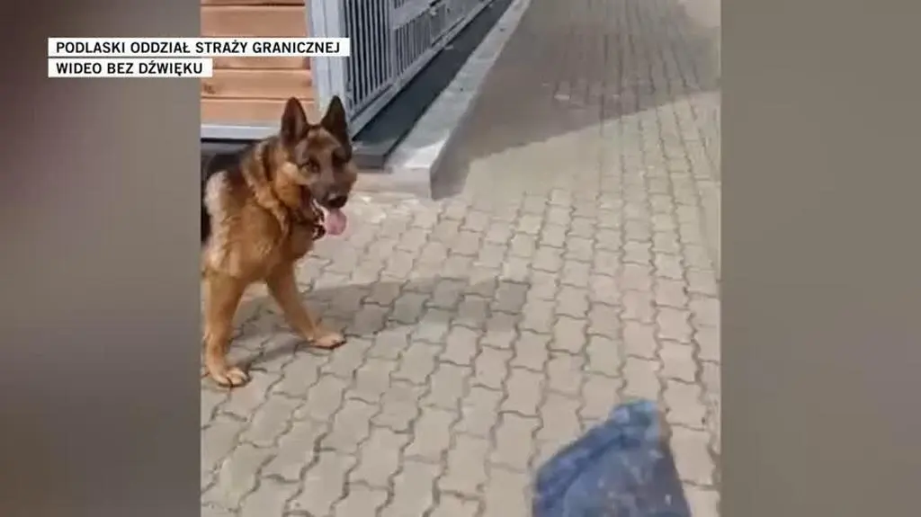 Podlaski Oddział Straży Granicznej