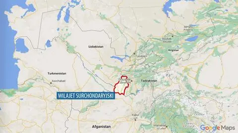 Resort obrony Uzbekistanu: Zestrzeliliśmy afgański samolot wojskowy