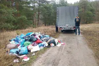 Śmieci w lesie w Nietkowie