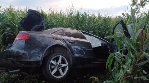 Dachował na polu kukurydzy. Kierowca nie żyje