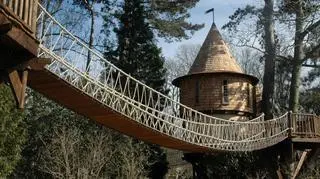 Treehouse - luksusowe domki na drzewie