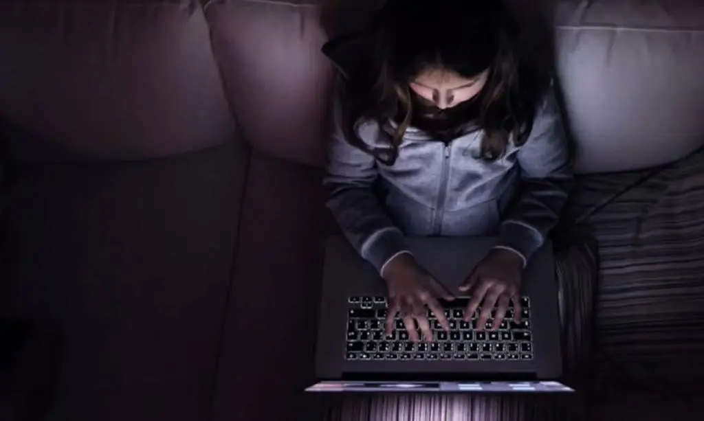 Większość rodziców nie zwraca uwagi na to, co ich dzieci oglądają w internecie