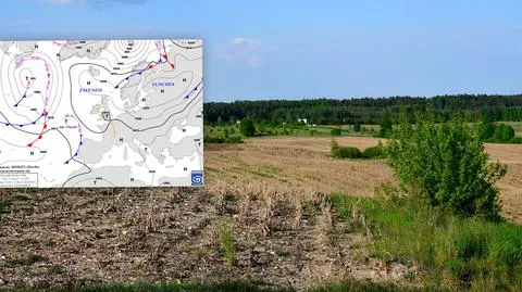Rośliny "mdleją" w lasach i ogrodach. Kiedy nadejdzie ulga?