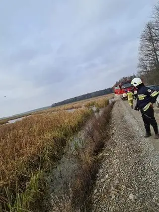 Rozlewisko jest na tyle zarośnięte, że nie dało się dopłynąć do wędkarzy  przy użyciu silnika motorowego 