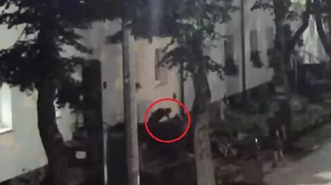 Mężczyzna brutalnie pobił kobietę w Rumii