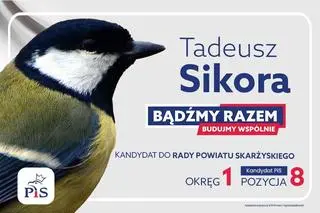 Plakat Tadeusza Sikory
