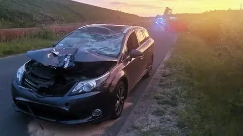 Rowerzysta zginął w zderzeniu z samochodem