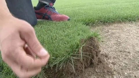 Przed meczem Polska - Portugalia. Murawa w Marsylii jest w opłakanym stanie