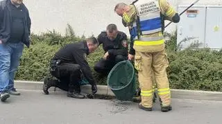 Wspólna akcja strażaków i strażników miejskich zakończyła się sukcesem