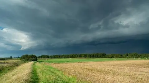 Burze, deszcz i upał. Tydzień z pogodowymi utrudnieniami