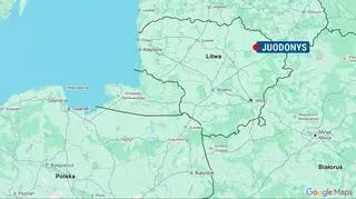 2-Juodonys