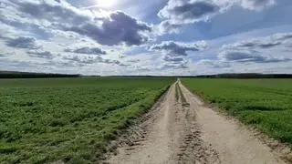 W tych okolicach miałyby stanąć wielkie farmy fotowoltaiczne