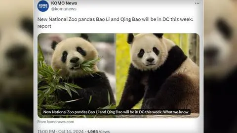 Czarno-biali "dyplomaci" wzbogacą zoo w Waszyngtonie     