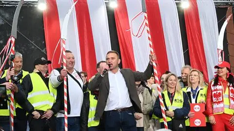 Robert Bąkiewicz na wicu PiS