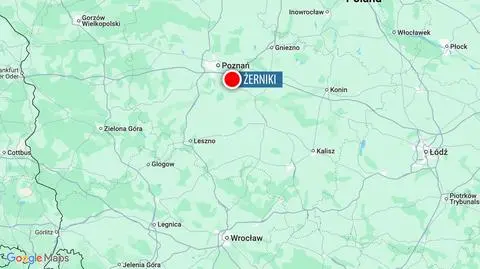 Awionetka spadła na pole, "pilot wyszedł o własnych siłach"