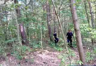 Nazbierał kosz grzybów i do pasa utknął w bagnie 