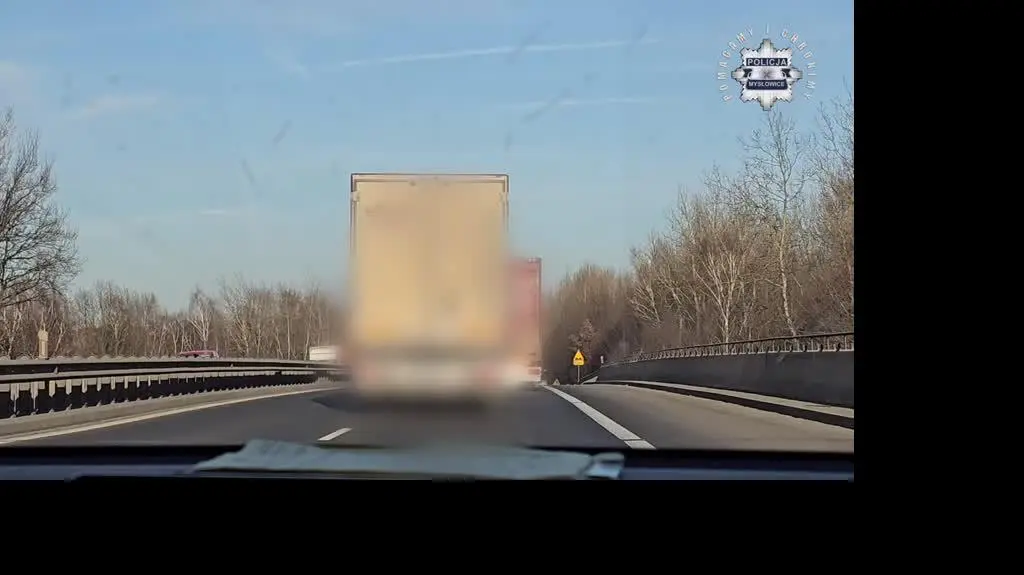 Wyścig słoni w Mysłowicach