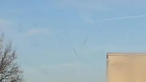 Wyścig słoni w Mysłowicach