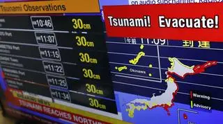 Potężne trzęsienie ziemi w Rosji. Ostrzeżenia przed tsunami w wielu krajach