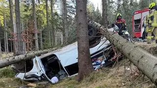 Auto wylądowało w lesie pod drzewami