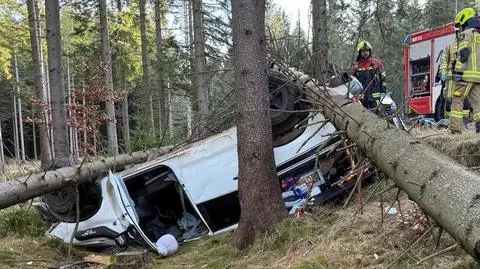 Auto wylądowało w lesie pod drzewami