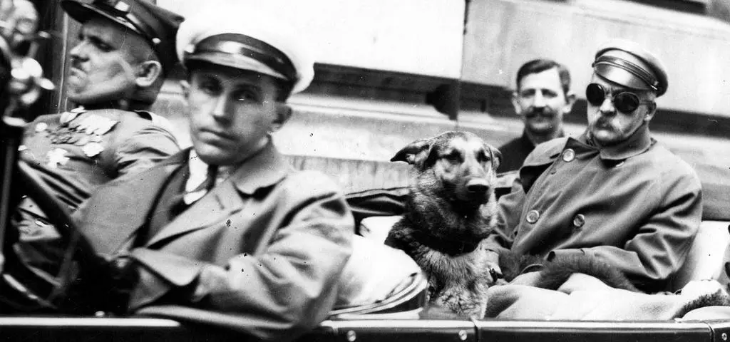 Dlaczego Piłsudski zapuścił wąsy? I jak wabił się jego pies?