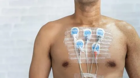 shutterstock_2298635963