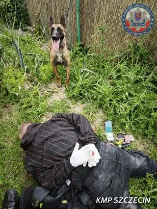Mężczyzna został zatrzymany po krótkim pościgu