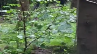Shortly after the incident the masked men moved away