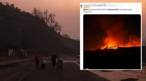 Słynny znak "Hollywood" w płomieniach? Tak, ale nierzeczywistych