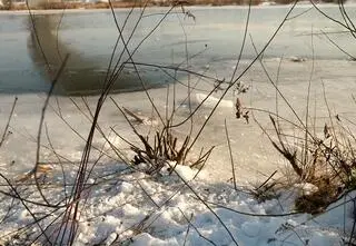 Weszła za psem na zamarzniętą rzekę. Wołanie o pomoc usłyszał strażak