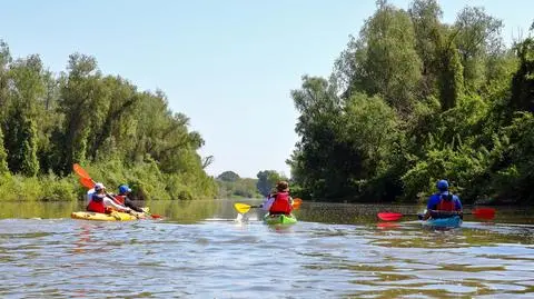 Kajaki, rzeka, wakacje, gorąco, lato, ludzie, pogodnie, słonecznie