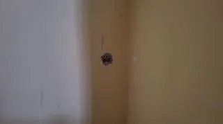 Sanok. Mężczyzna nie żyje, wcześniej zabił matkę i zaatakował policjantów