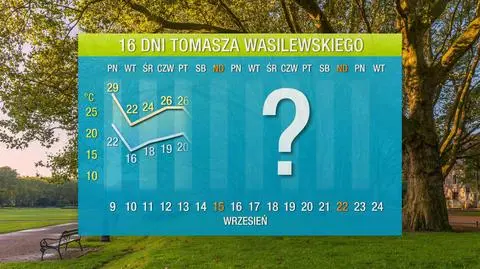 wasyl 16