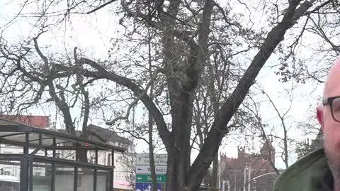 widzicki